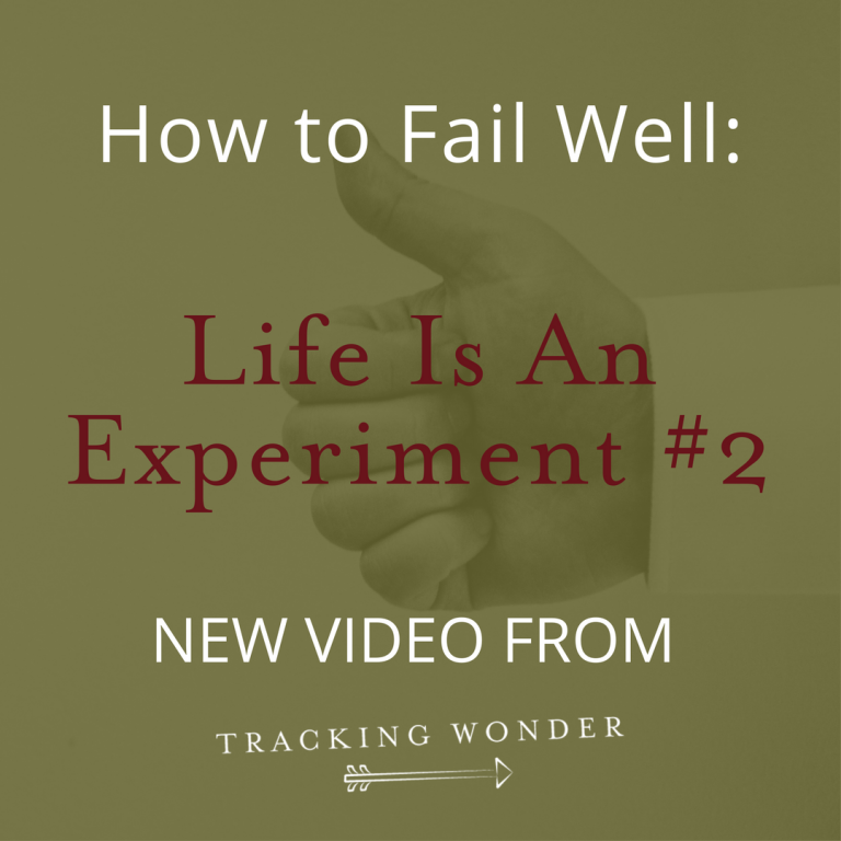 How Do you Fail Well? – Life Is An Experiment (Video)