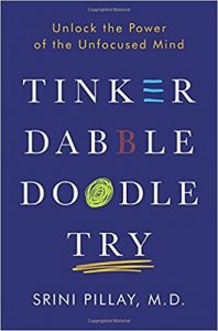 tinker-dabble-doodle-try-srini-pillay